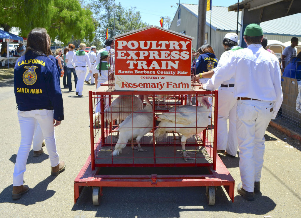 071114PoultryatFair09.jpg